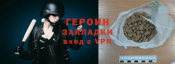 индика Арсеньев