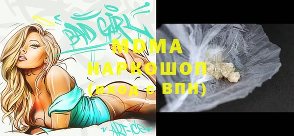 индика Арсеньев