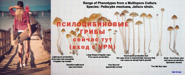 MESCALINE Армянск