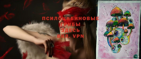 индика Арсеньев